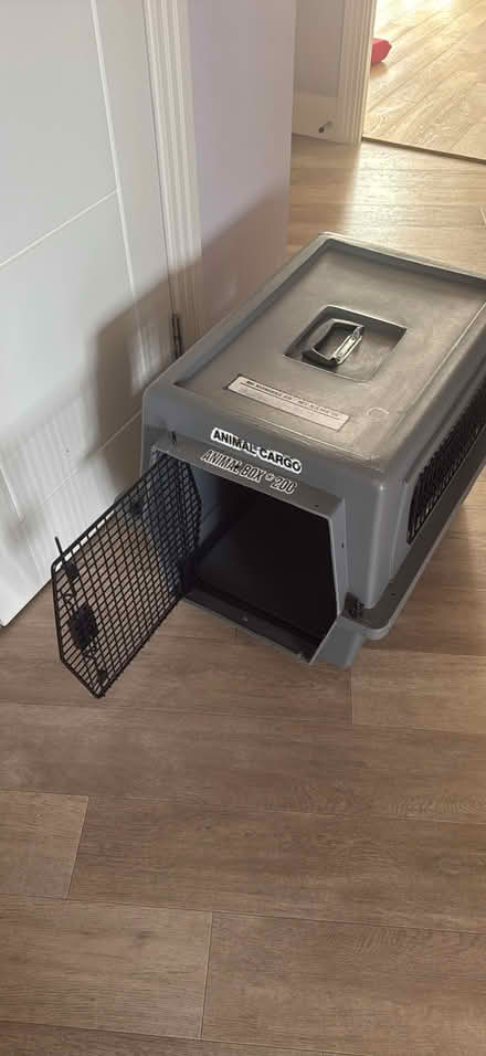 Photo of free Animal cargo box (N111FG) #3