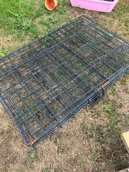 Photo of free Medium dog crate (Bath, odd down) #1