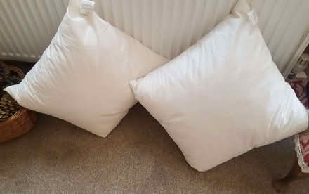 Photo of free Duck feather cushion pads (Frimley Green GU16) #1