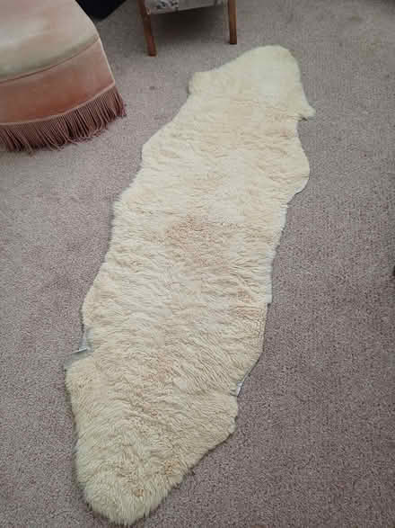 Photo of free Sheepskin rug (Steyning BN44) #1