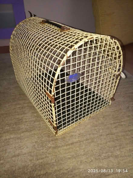 Photo of free metal carrier for small dog/cat/bird (Carlton Hill BN2) #1