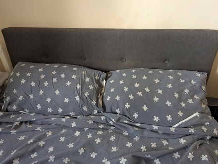 Photo of free Double ottoman bed (Castle area) #2