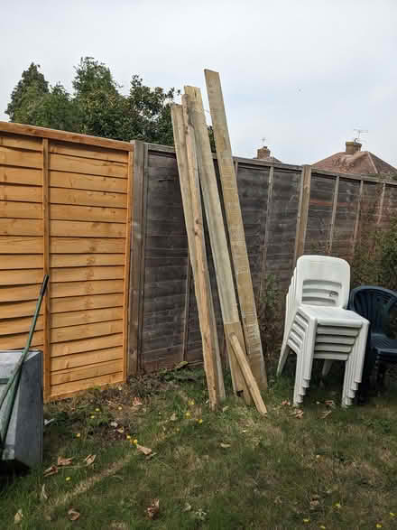 Photo of free Wood battens 230cm 240cm 250cm (Old Woking GU22) #1