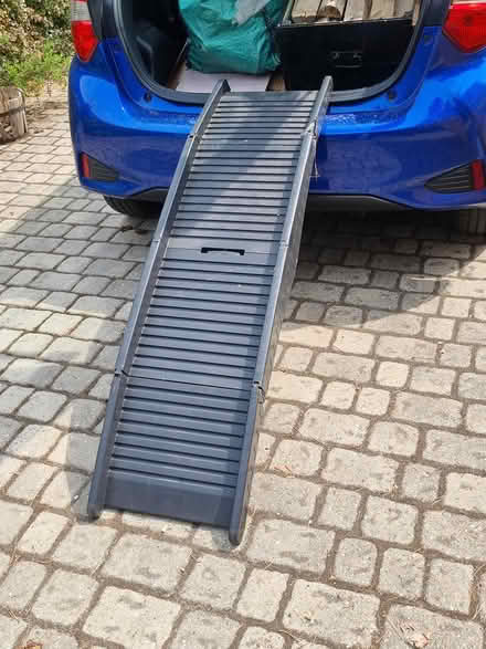 Photo of free Dog assistance ladder (Virginia Water) #2