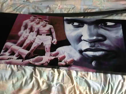 Photo of free Mohamed Ali picture (Timperley WA15) #1