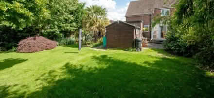 Photo of free Garden Shed (Kingsclere RG20) #1