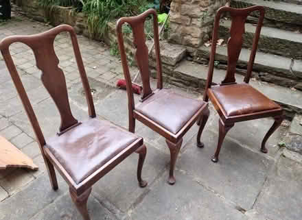 Photo of free 3 dining chairs (Hunters Bar S11) #1