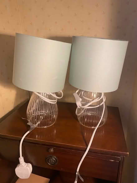 Photo of free Pair of lamps (islington N1) #1