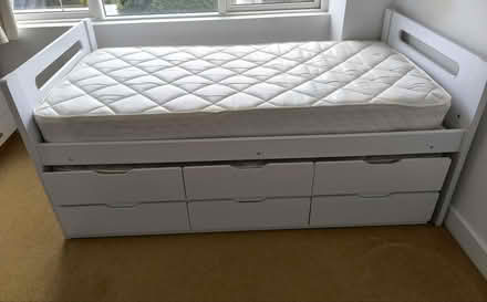 Photo of free Cabin Bed (Blackrock, Co Dublin) #1