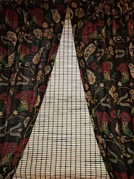 Photo of free 4 Cotton WorldMarket Curtain Panels (Brightwood-Takoma) #1