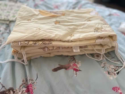 Photo of free Cot bumper (E17) #1
