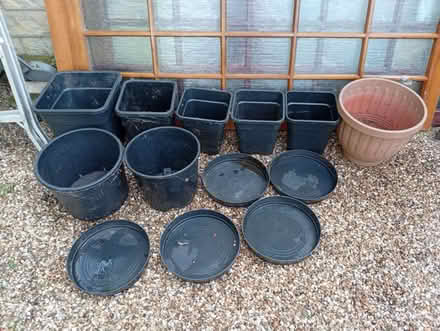 Photo of free Large plant pots and large saucers (Buxworth SK23) #1
