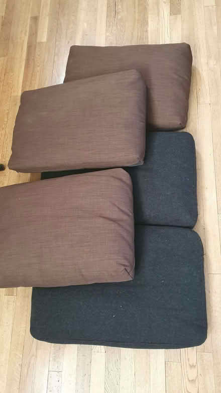 Photo of free Unused Dog cushions (Odd Down) #1
