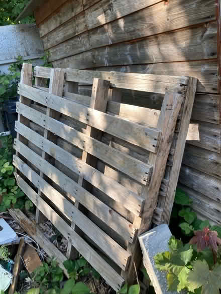 Photo of free Pallet Wood (CT10) #1