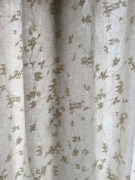 Photo of free Pair of curtains (Muswell Hill N10) #1