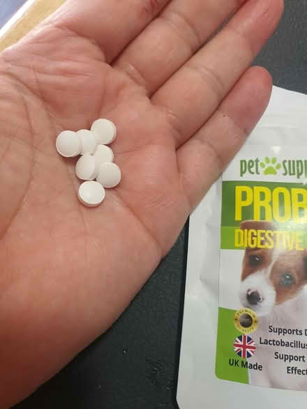 Photo of free Prebiotic dog tablets for dogs (Darnall S9) #1