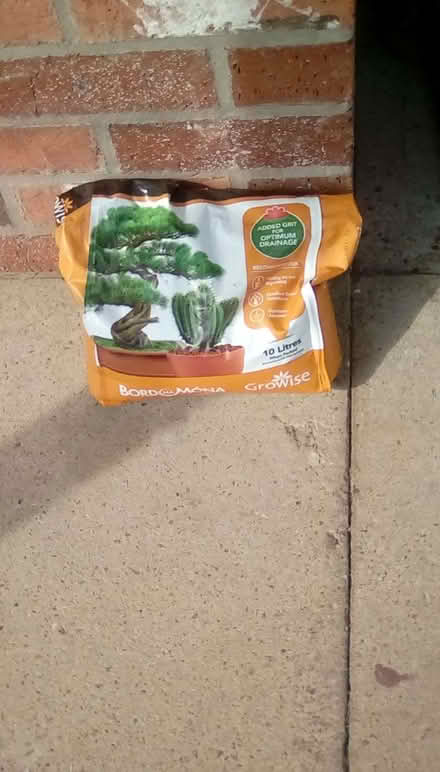 Photo of free Cactus and Bonsai Compost (Priorslee TF2) #2