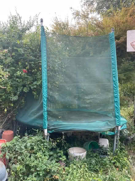 Photo of free 8 foot trampoline (Paulton) #1