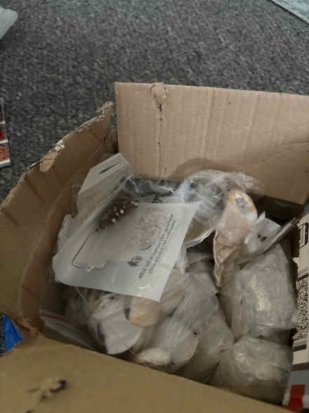 Photo of free Assorted beads, Oyster shells (W10 5NH) #1