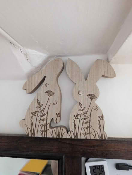 Photo of free Bunnies (CO2 Colchester) #1
