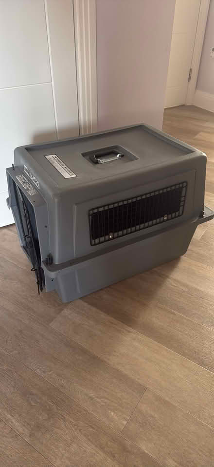 Photo of free Animal cargo box (N111FG) #4