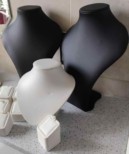 Photo of free Jewellery Displays (DA1) #3