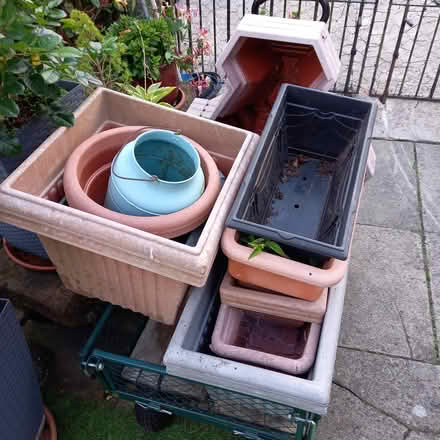 Photo of free Planters (Flax Moss BB4) #1