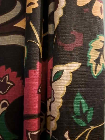 Photo of free 4 Cotton WorldMarket Curtain Panels (Brightwood-Takoma) #2