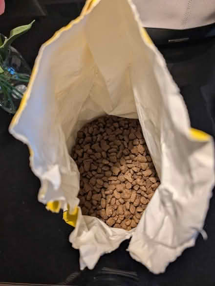 Photo of free Aldi cat biscuits (Skipton BD23) #1