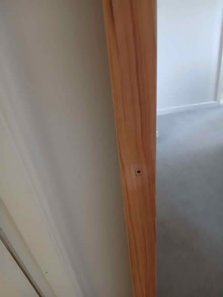 Photo of free Full length mirror (Copthorne SY3) #1