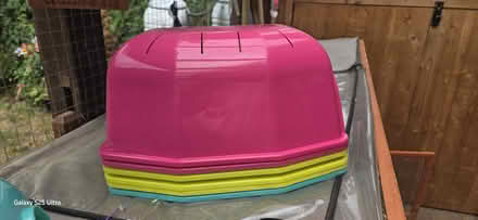 Photo of free guniea pig small rabbit igloos (Watford WD24) #3