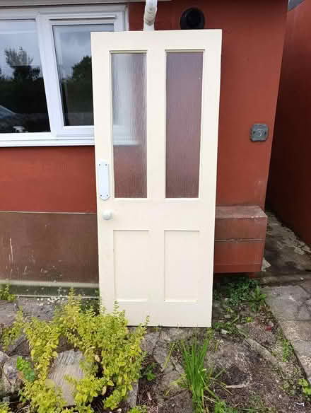 Photo of free Internal door (Wrangaton TQ10) #1