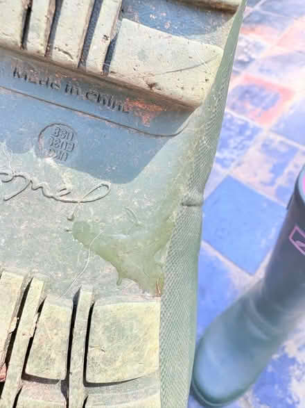 Photo of free Joules Wellies Size 6 (Latchingdon CM3) #2