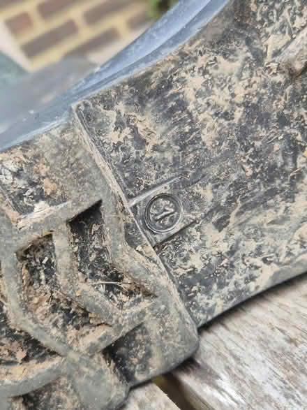 Photo of free Size 1 Pokemon wellies (Lewes BN7) #3