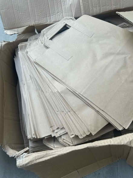 Photo of free Box of takeaway brown bags (Shooters Hill) #1