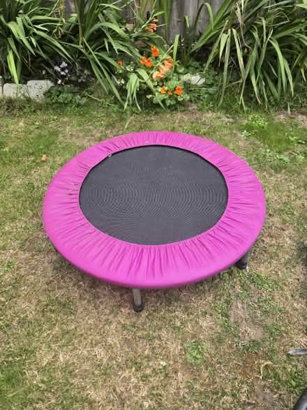 Photo of free Pink Trampoline (Tangmere PO20) #1