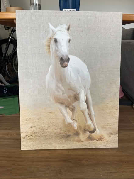 Photo of free Picture on canvas (Great Baddow CM2) #1