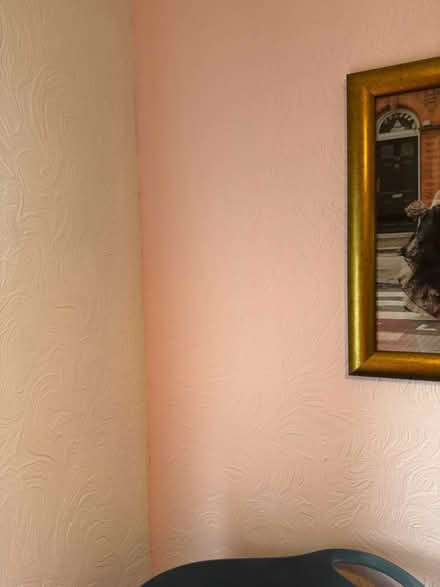 Photo of free Light pink silk paint (full tin) (New England) #2