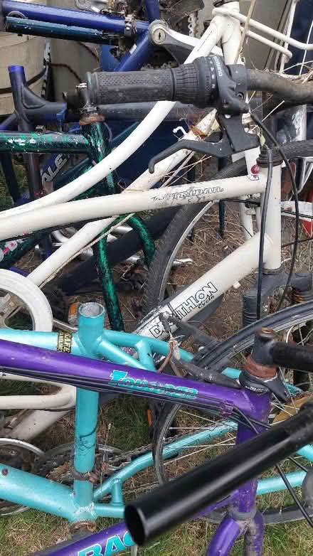 Photo of free Bicycles and Bicycle frames (Hertford Heath SG13) #3