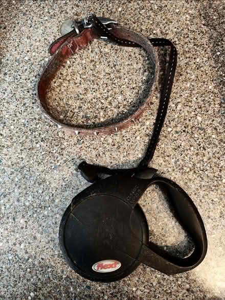 Photo of free Extendable Dog Lead and Collar. (Gleadless S12) #1