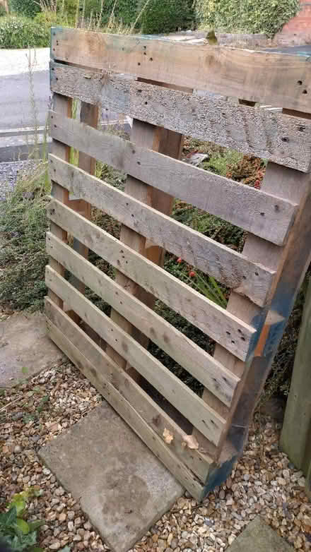 Photo of free Wooden Pallets (Oswestry) #2