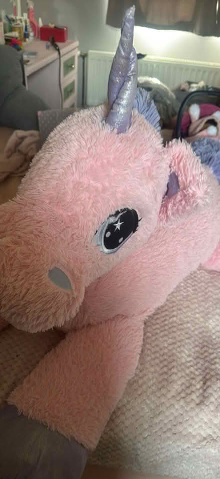 Photo of free Large plush unicorns (Llnyclys) #2