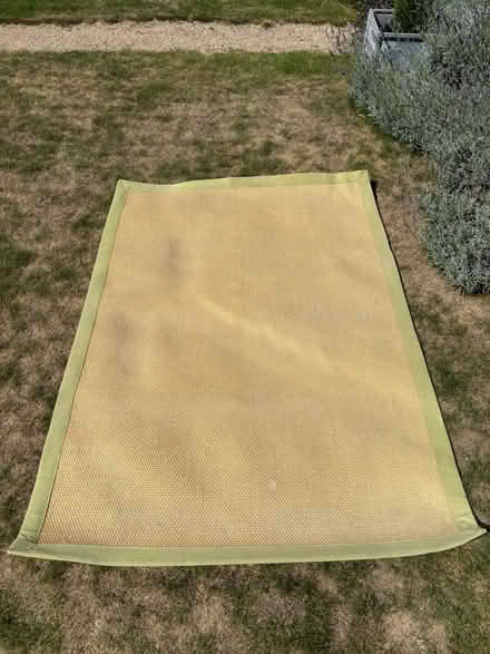 Photo of free Sisal mat with green border (Chichester PO19) #1