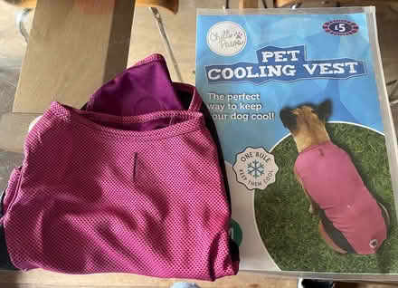 Photo of free Dog cooling vest (Clapham SW4) #1