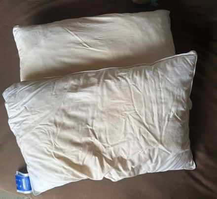 Photo of free Pair of Non Allergenic, 100% Polyester, Soft Pillows (Chaddesden DE21) #1