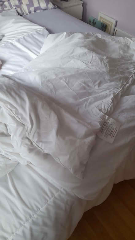 Photo of free Quilt (Chaddesden DE21) #1