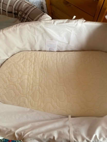 Photo of free Moses basket (Lakenham NR1) #3