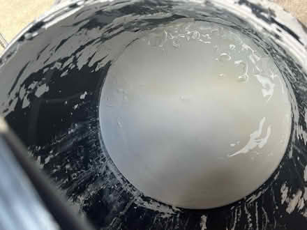 Photo of free Leftover Delux Trade Supermatt White Paint (Tufnell Park N19) #2