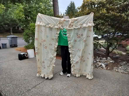 Photo of free Flower Shower Curtain (Juanita (Kirkland)) #1