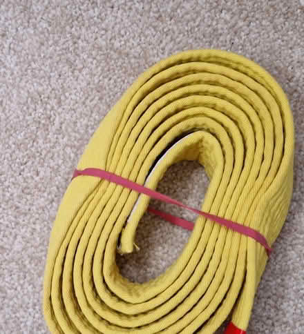 Photo of free Belts for judo etc (East Grinstead town center) #2